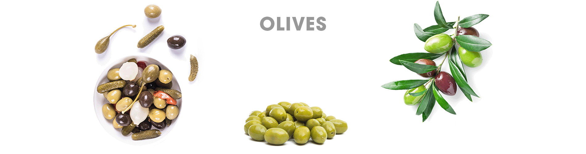 Category - Olives 1900x500-1